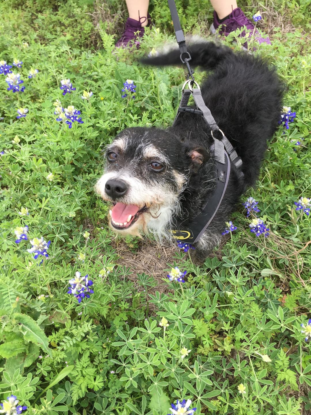Photo shared by Valerie McMicken