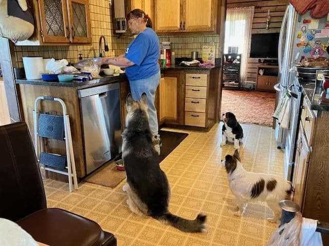 Photo shared by Mickey Seppala