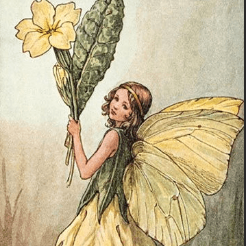 Deborah Helm Day
